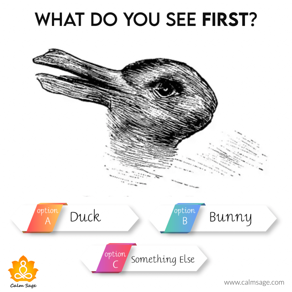 你首先看到的是什么鸭子，兔子还是别的什么
