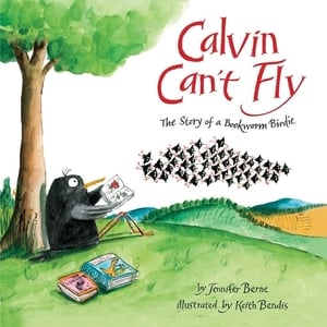 calvin_cant_fly